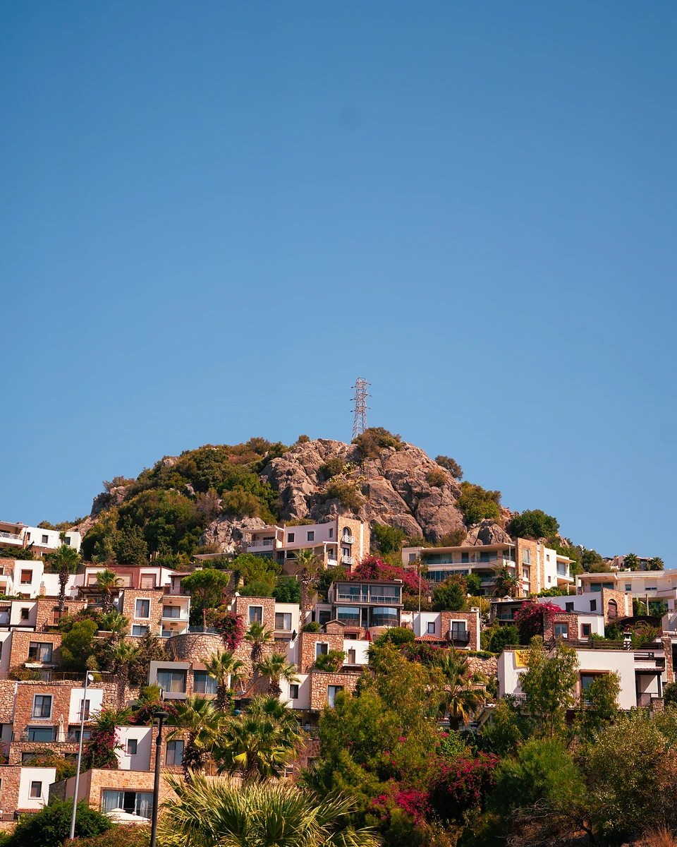 White and stone houses climbing a rocky hill in Türkbükü, bougainvillea and palms below