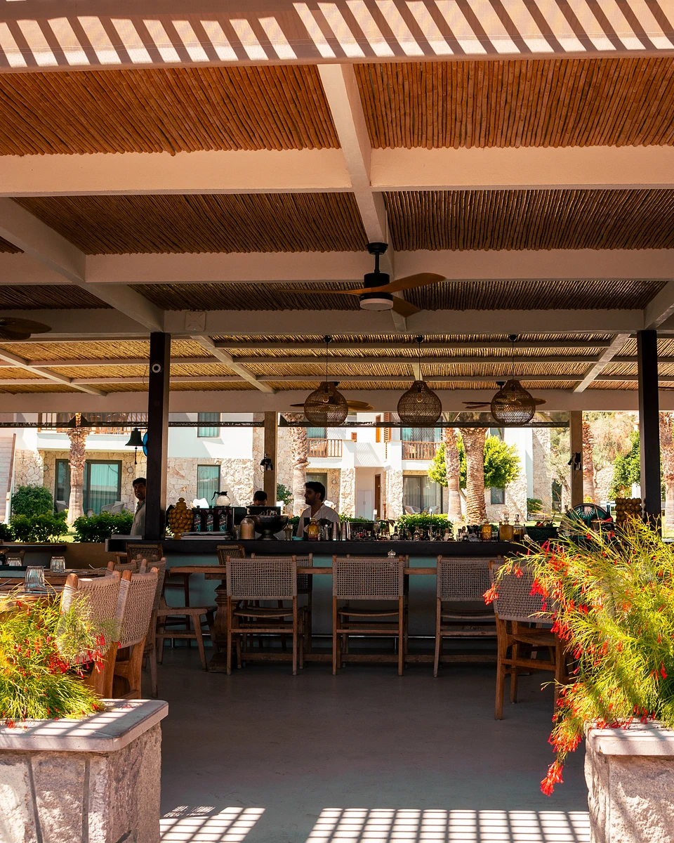 A reed-roofed bar in Türkbükü, staff behind the counter and red flowers in stone planters