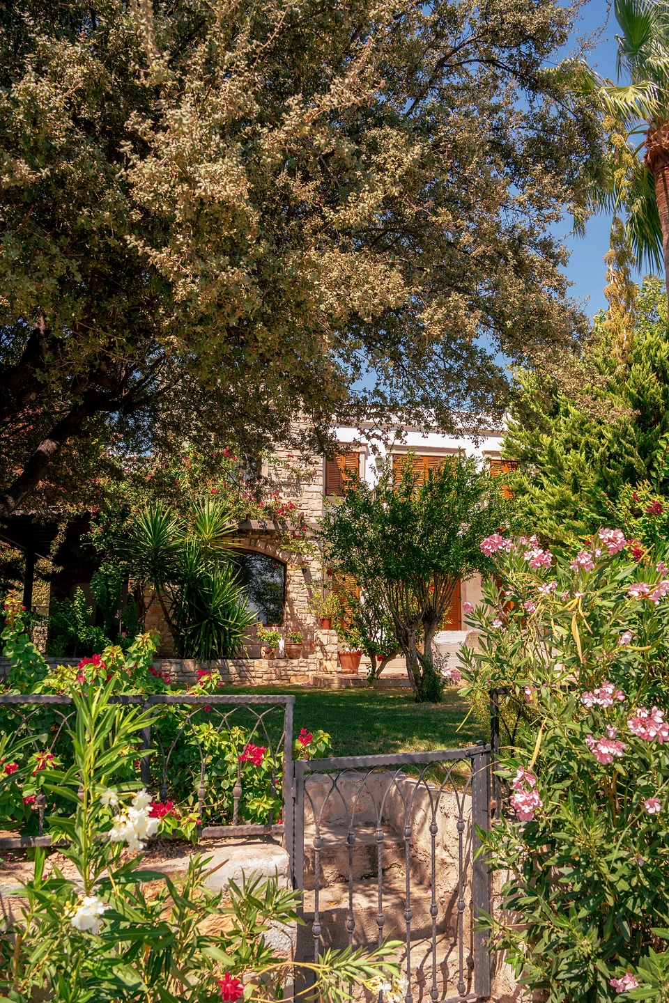 A stone house behind an iron garden gate in Türkbükü, pink flowering shrubs in front