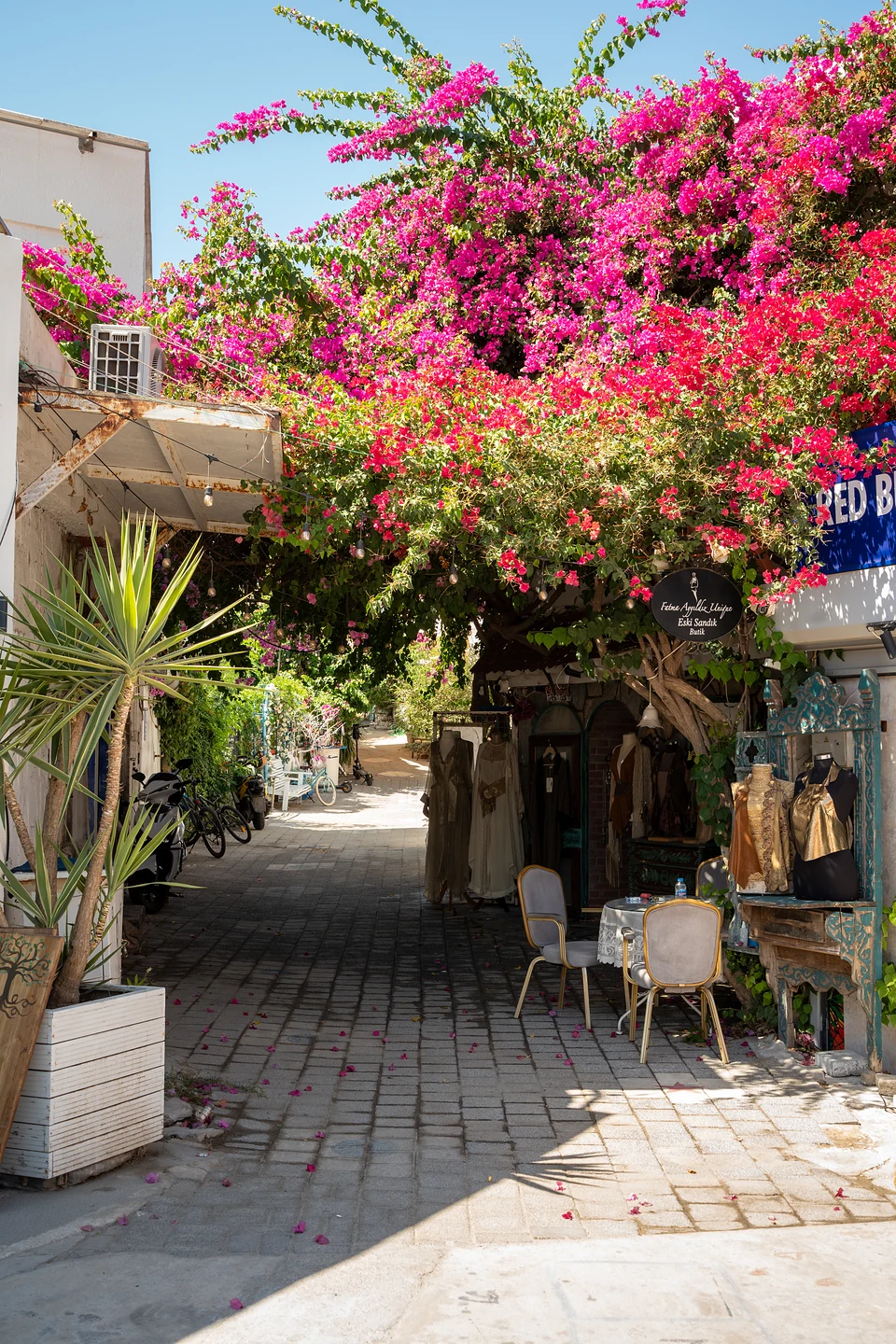 Bougainvillea arching over a lane of small shops in Türkbükü, dresses on rails and fallen petals