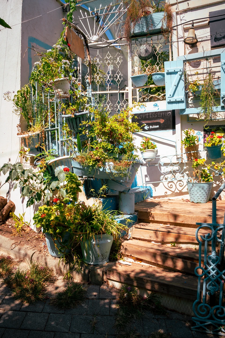 Wooden steps crowded with potted plants beside pale blue shutters and ironwork in Türkbükü