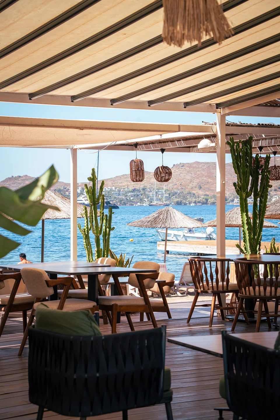 A beach restaurant deck in Yalıkavak with tall cacti, thatched parasols and the blue bay