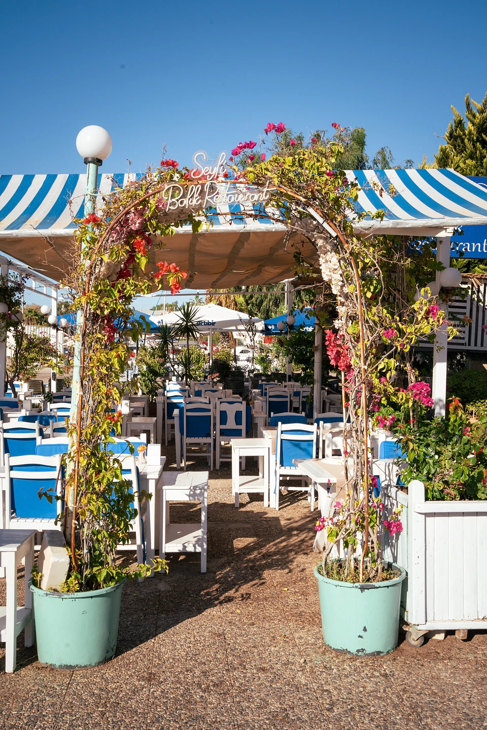 A flowering arch leading into a blue-and-white restaurant terrace in Yalıkavak, rows of blue chairs