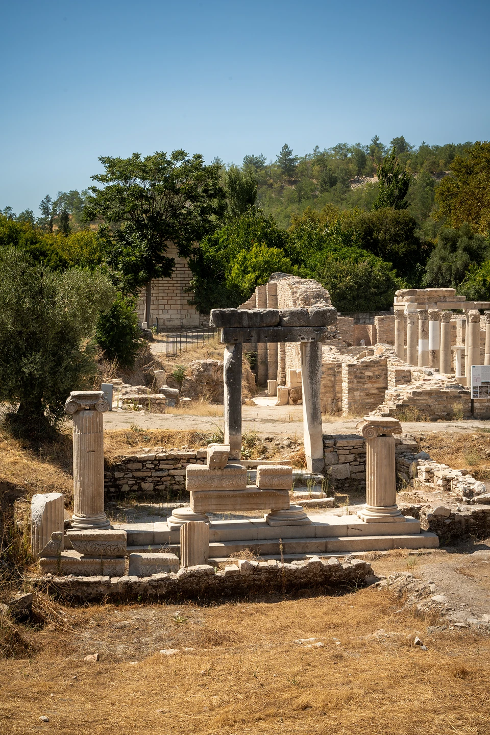 Two columns with scrolled capitals flanking stone steps, a stone gateway behind, dry grass in front