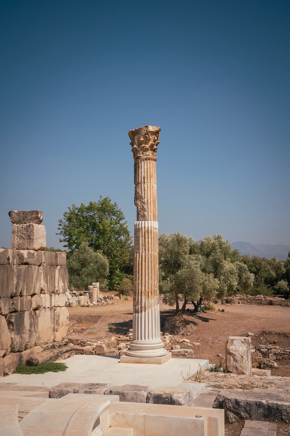 A lone fluted column with a carved capital at Stratonikeia, olive trees and blue sky behind