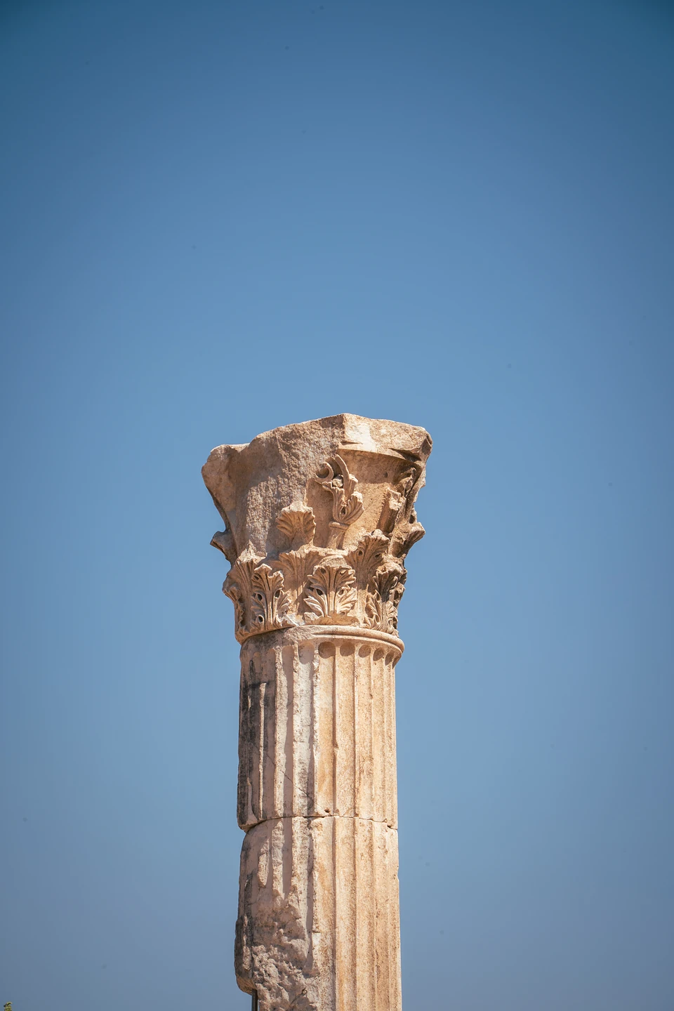 The weathered top of a fluted column, its carved acanthus capital alone against blue sky