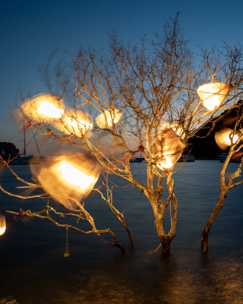 Lanterns blurred by the breeze in a bare tree standing in the water at Gümüşlük