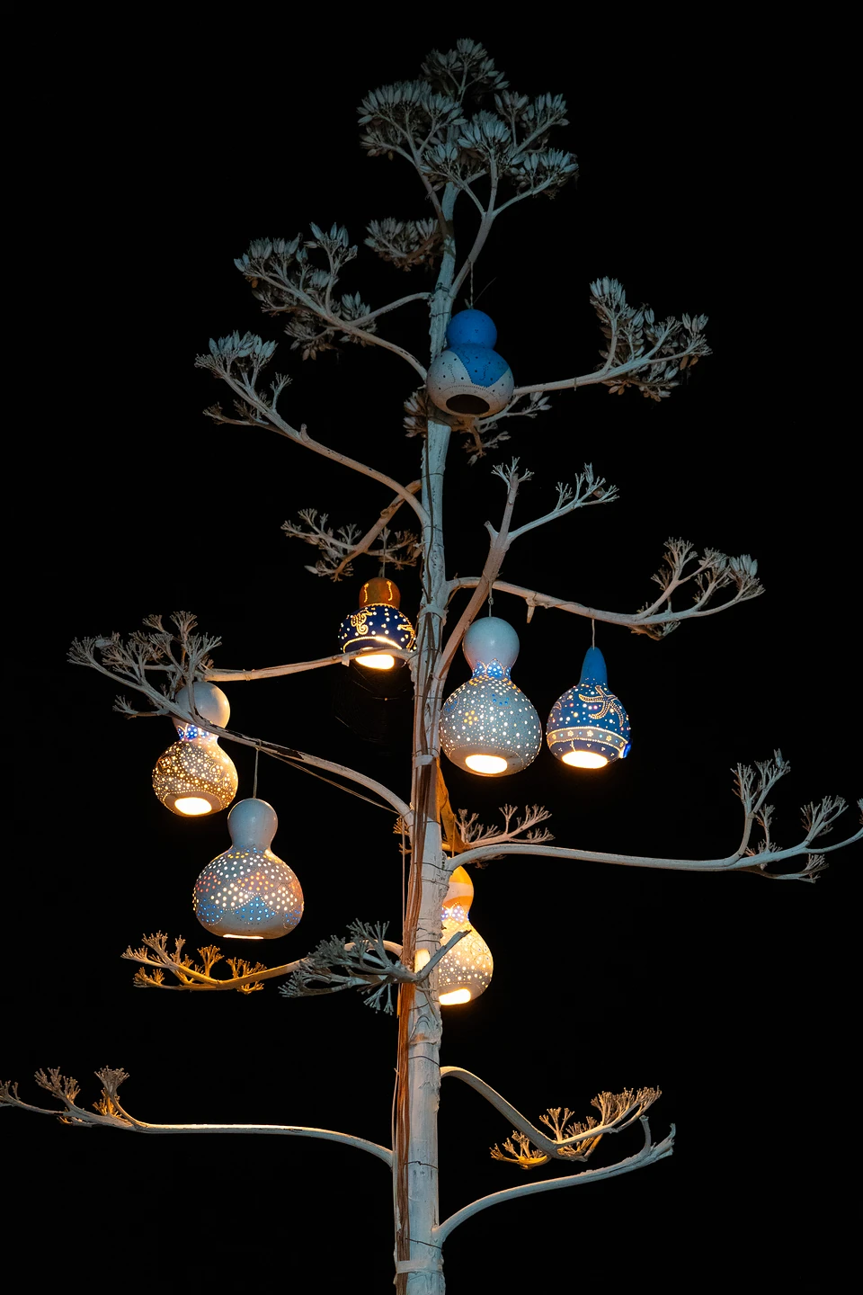 Pierced blue and white gourd lamps glowing on a branching dried stalk against the night sky