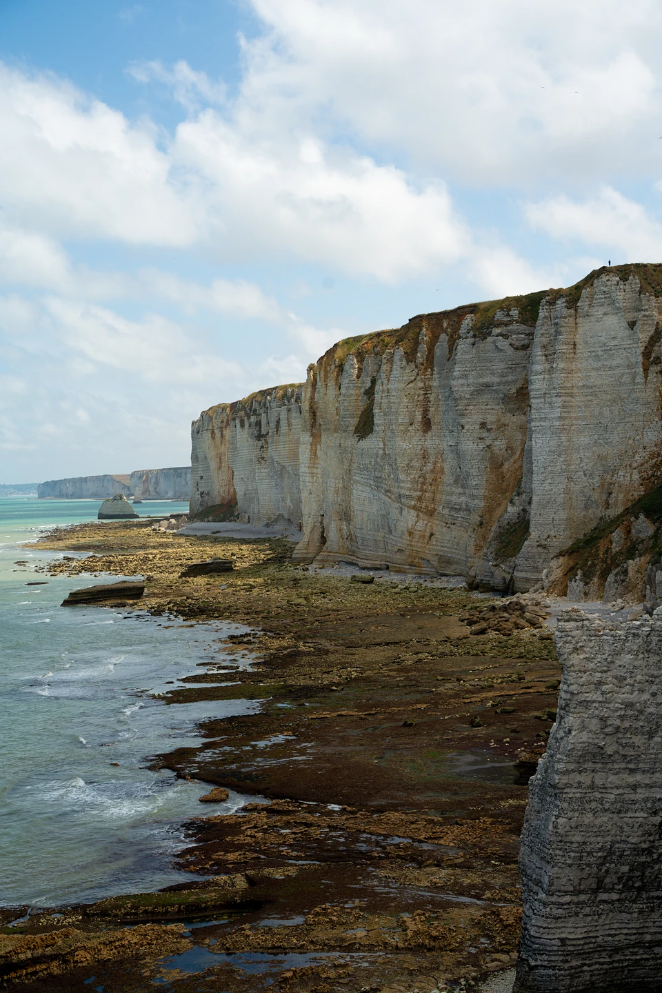 A long wall of chalk cliffs above rocky ledges exposed at low tide
