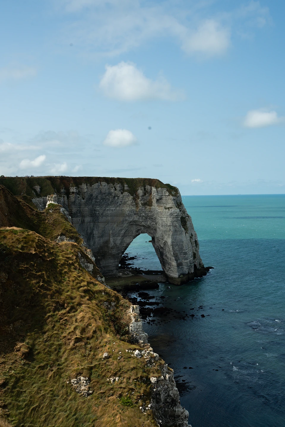 A huge chalk arch reaching into deep blue water beyond a grassy cliff edge