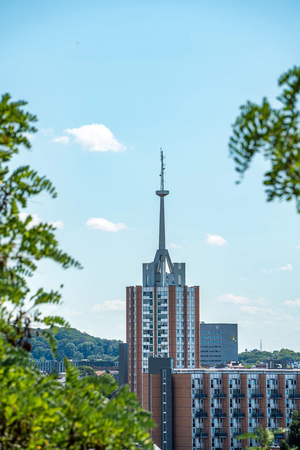 A tall tower block topped by a slender spire, seen between leaves against blue sky