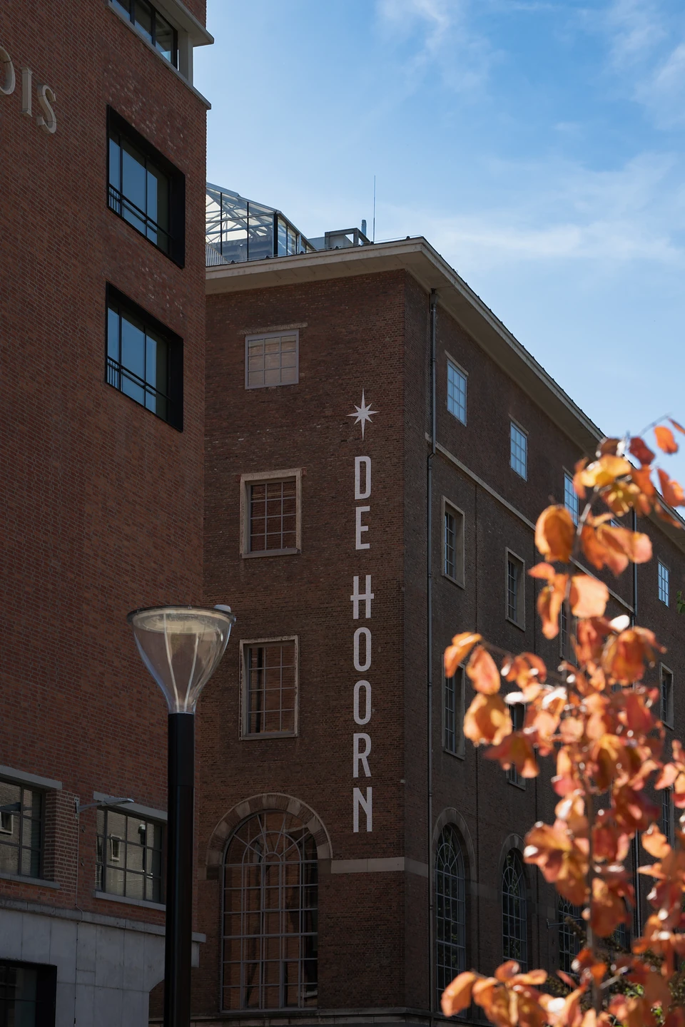 De Hoorn’s name and star running down its brick wall, orange leaves in the foreground