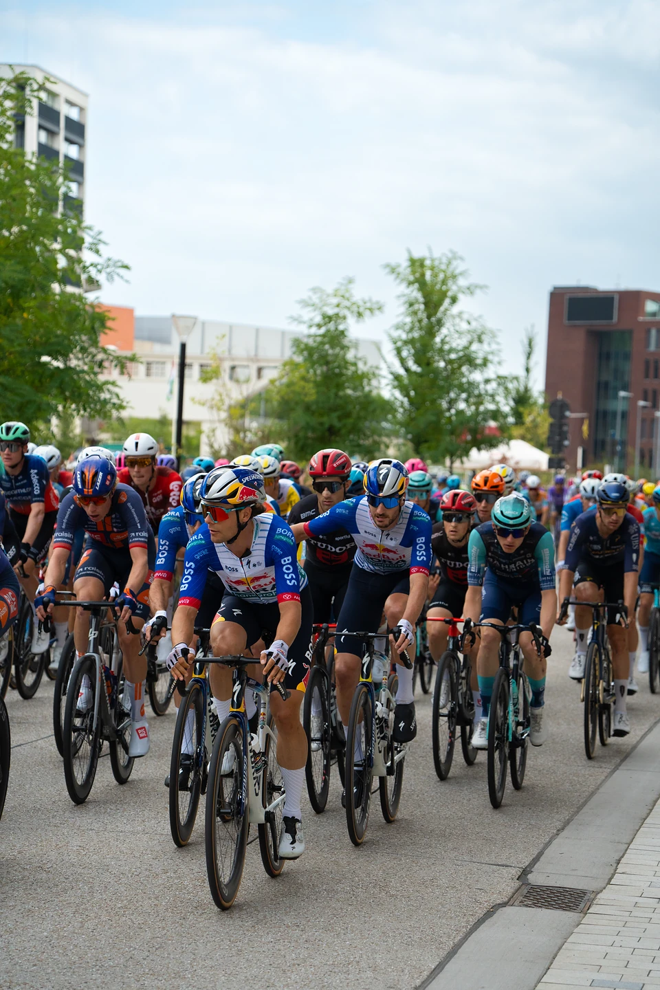 The peloton riding through in a tight pack of helmets, sunglasses and team colours