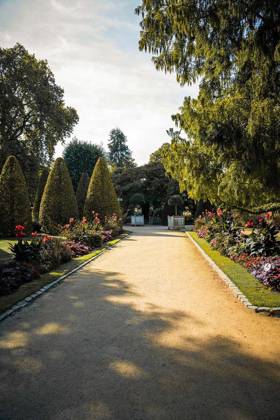 A wide sandy path between red flower beds and clipped conical shrubs, long shadows across it