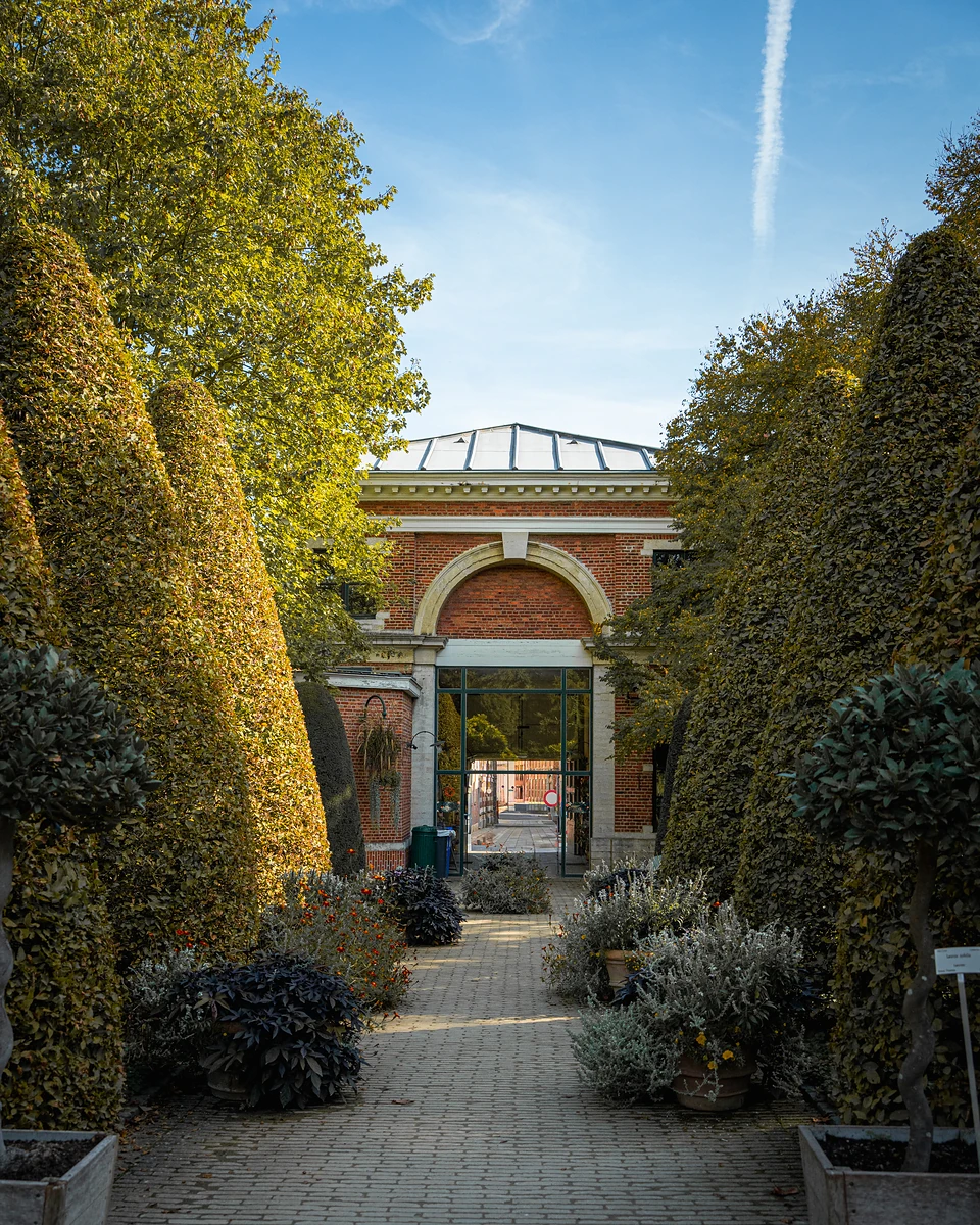 A brick path between tall cone-shaped hedges leading to an arched red-brick entrance