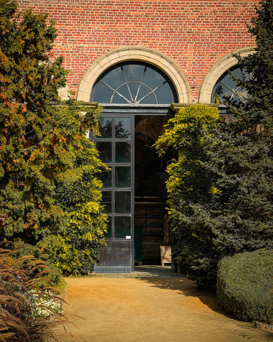 Arched fanlights and a tall glass door in a red-brick wall, half hidden by conifers