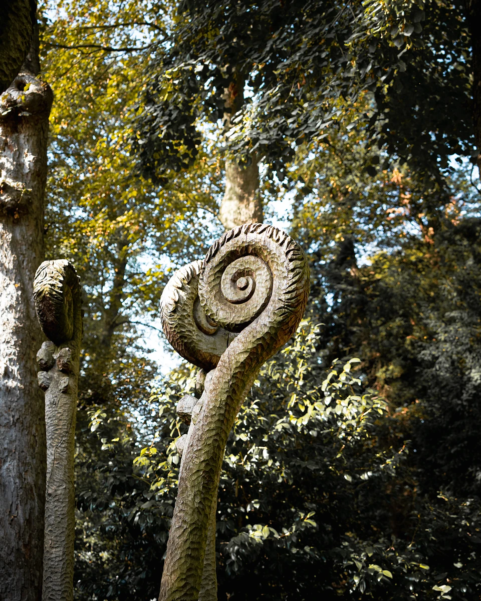 A tall wooden carving curling into a spiral like an unfurling fern, trees behind