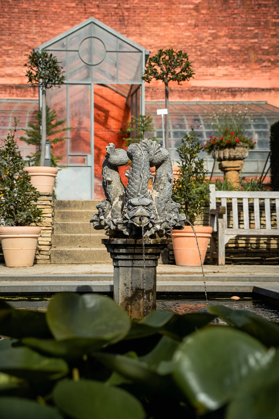 A stone fountain of three entwined fish spouting water, potted trees and glasshouse behind