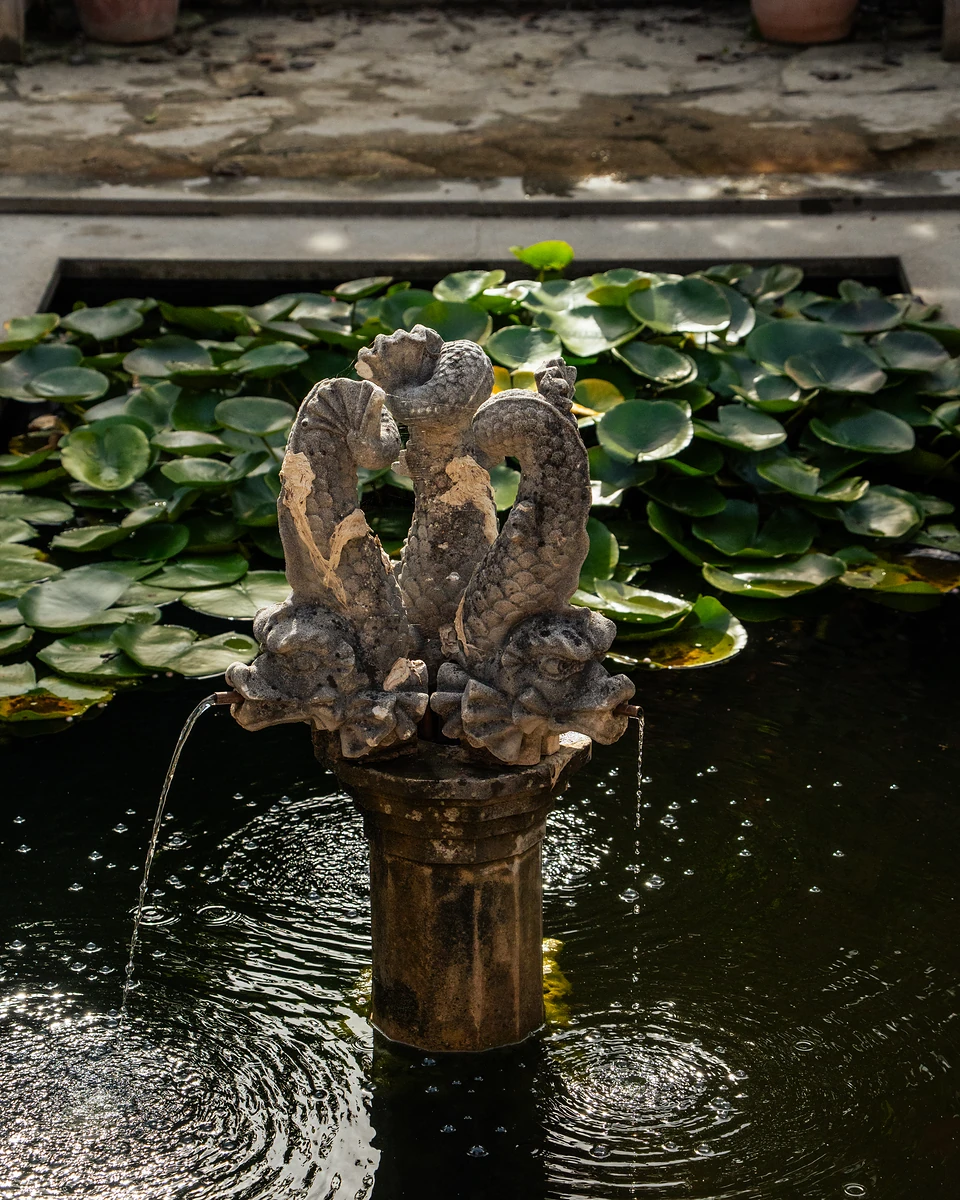 The stone fish fountain up close, thin jets falling into dark water, lily pads behind