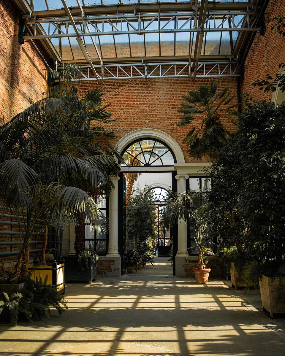 Inside the glasshouse, palms in wooden planters under a glass roof, sunlight striping the floor