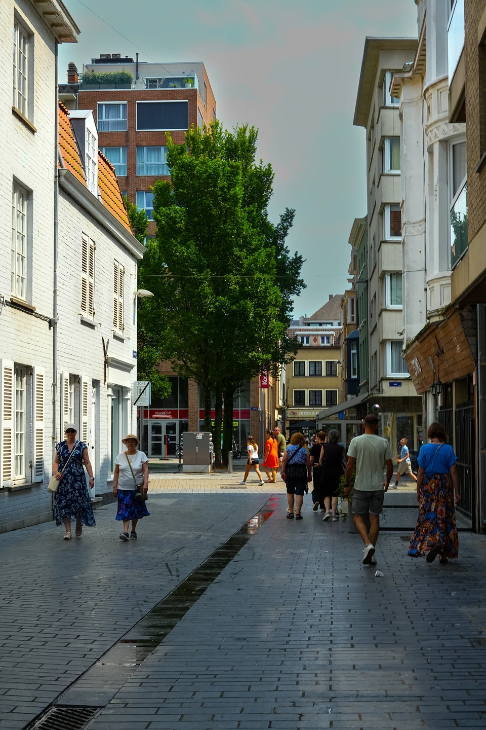 People strolling down a pedestrian street of white shuttered houses, a tall tree ahead