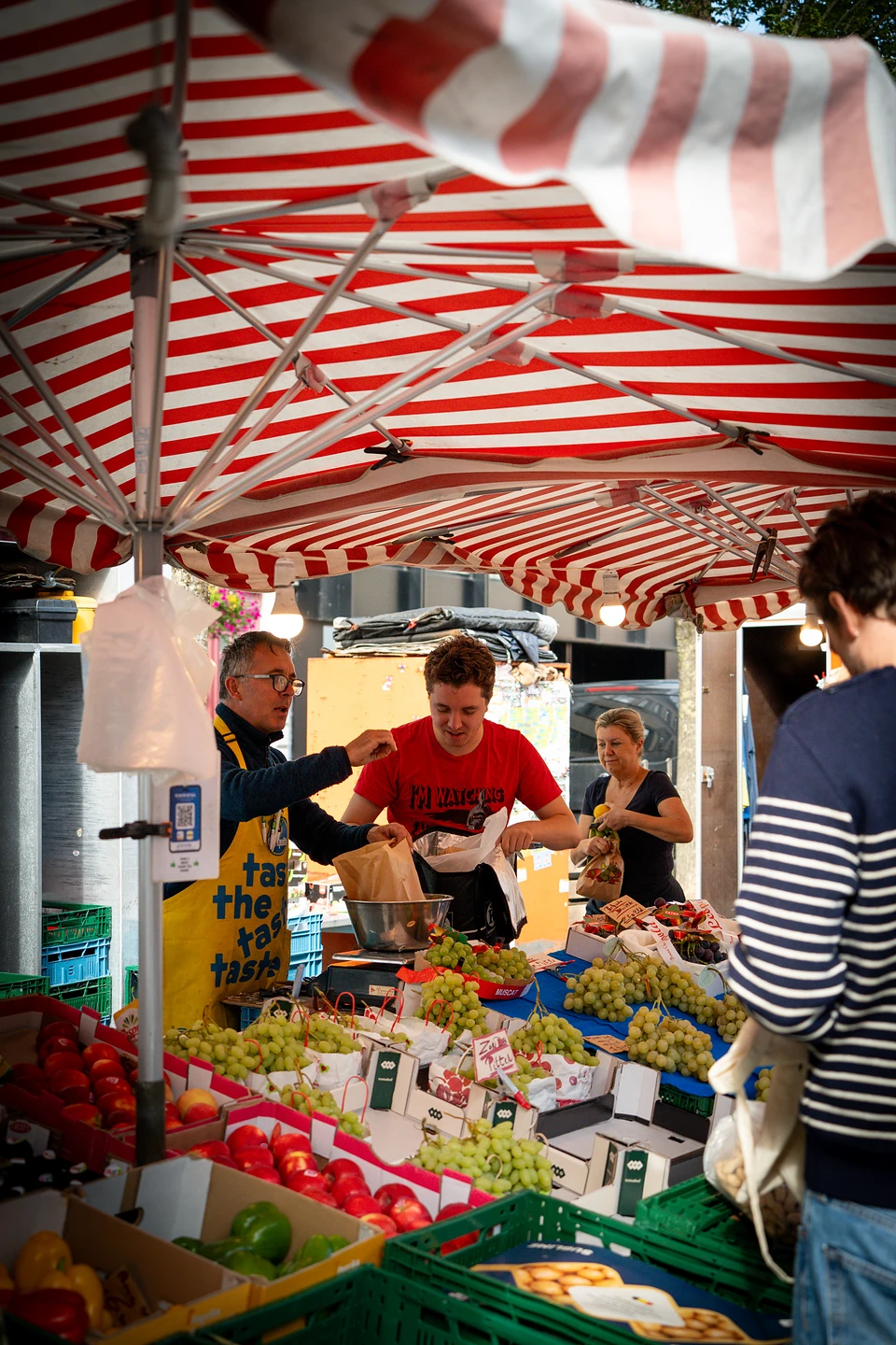 Stallholders filling bags of grapes under a red-and-white striped awning, peppers and tomatoes in front